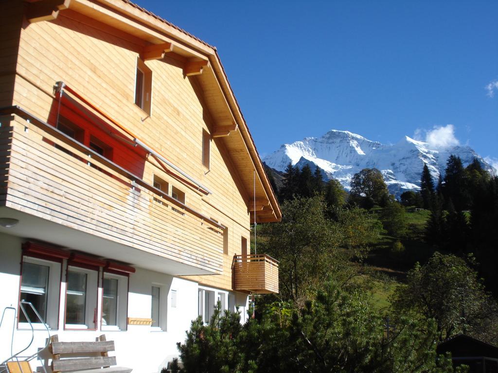 Chalet Viola Apartment Wengen Exterior photo